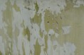 /album/galleria-foto-homepage1/p1090293-jpg/